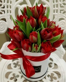 Tulpių puokštė dėžutėje