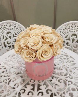 21 Miegančios rožės kompozicija dėžutėje