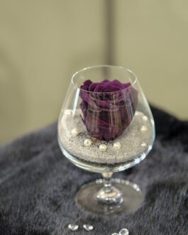 Miegančių rožių kompozicija nr. 11