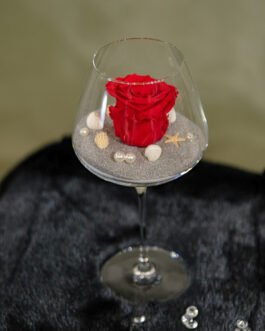 Miegančių rožių kompozicija nr. 12