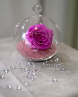 Miegančių rožių kompozicija nr. 17