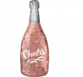 Bottle of Champagne – Cheers
