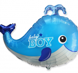 Baby Boy, whale