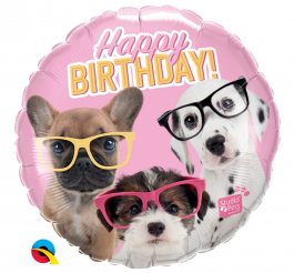 Birthday Puppies with Eyeglasses
