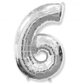 Sidabrinis skaičius 6