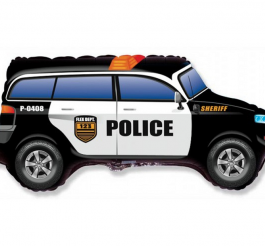 Policijos visureigis