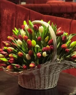 Tulpių puokštė krepšelyje