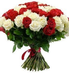 Maišyta raudona ir balta